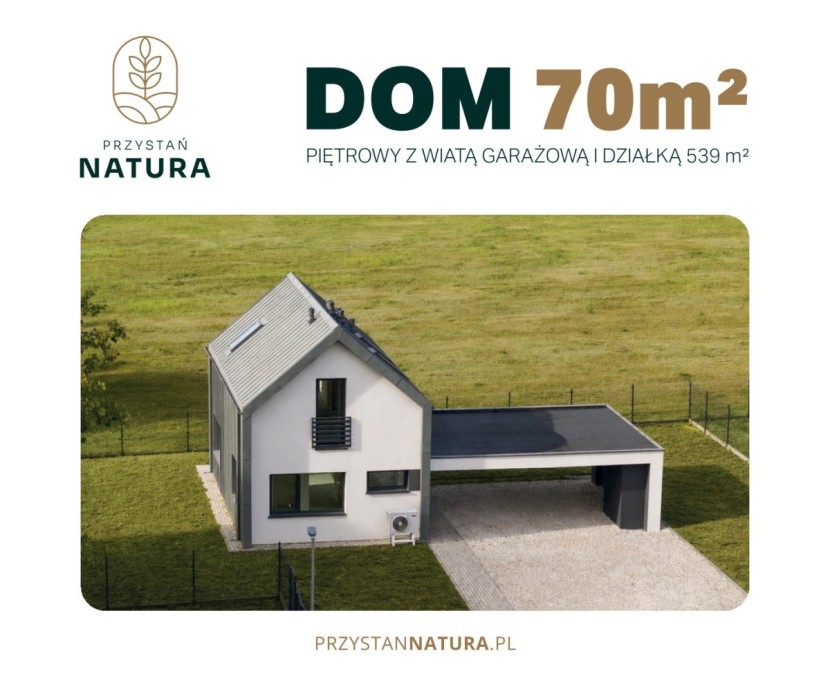 Dom 5