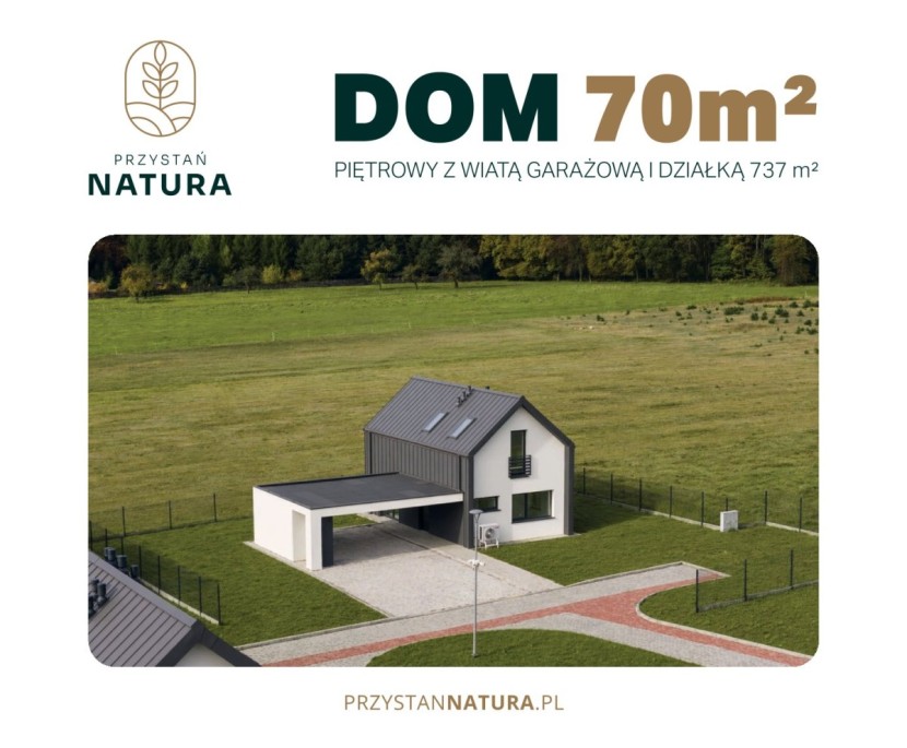 Dom 7