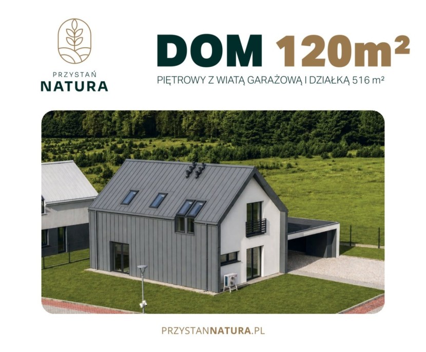 Dom 15